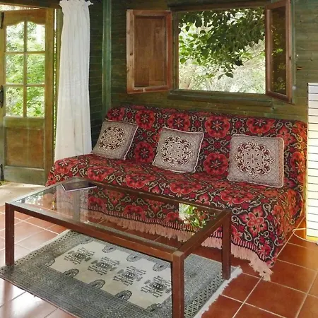 Holiday Jardin Botanico Baranco De Ayagaures - Lpa03012-sya Apartment *