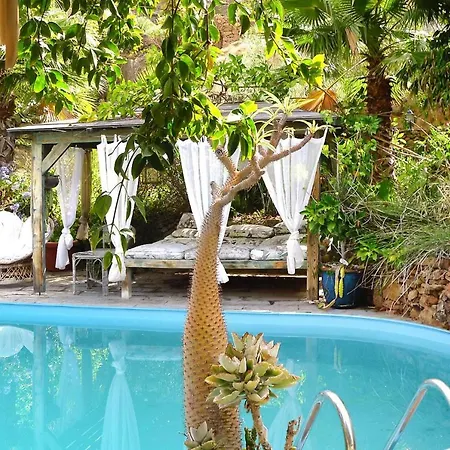 Holiday Jardin Botanico Baranco De Ayagaures - Lpa03012-sya Apartment *
